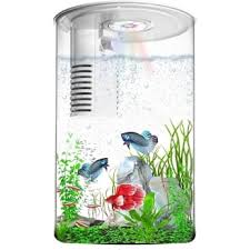 Desktop fish tank
