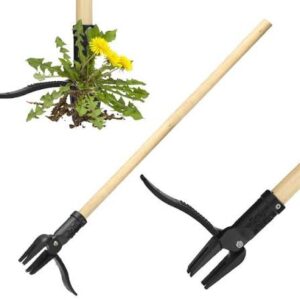 Weed Puller Tool